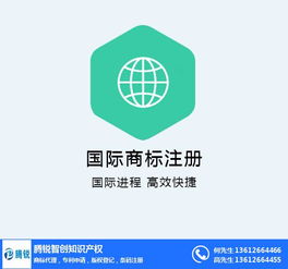 商標續展在線咨詢指南 以騰銳智創為例，解讀大嶺山地區網絡技術服務類商標維護要點